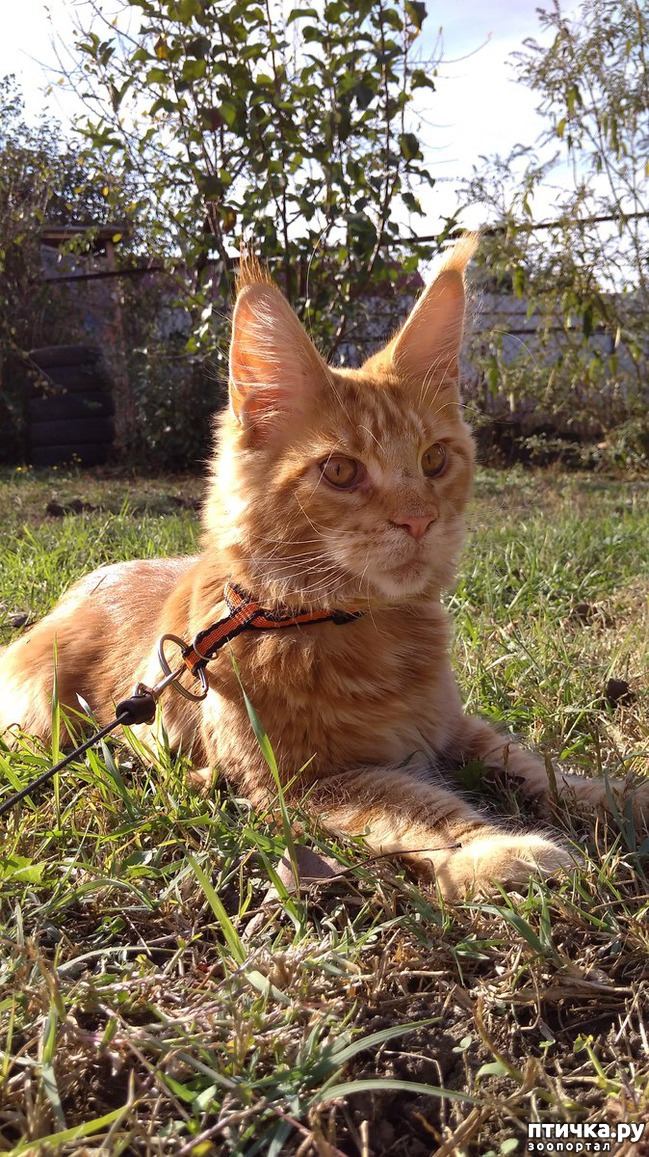 ���� 14: ����� ��� �������