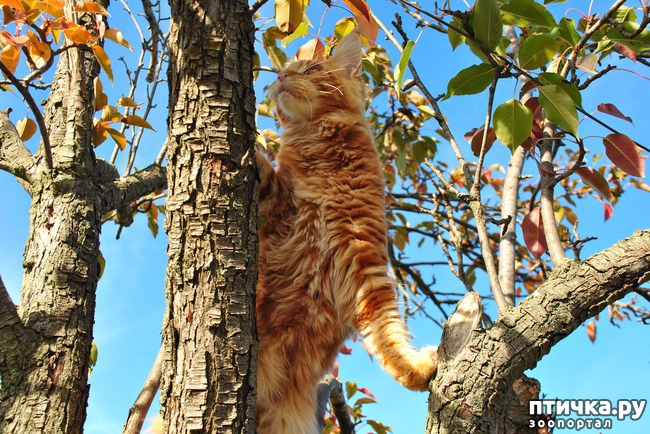 ���� 17: ����� ��� �������