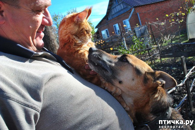 ���� 16: ����� ��� �������