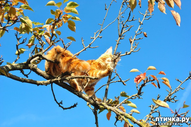 ���� 18: ����� ��� �������