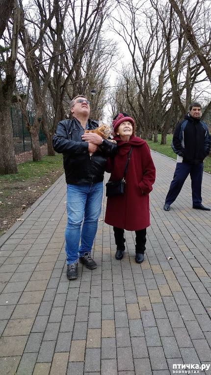 ���� 21: ����� ��� �������