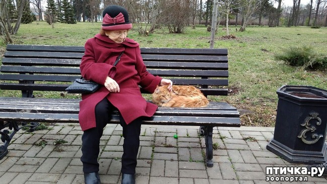 ���� 20: ����� ��� �������