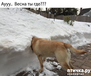 ����: �����