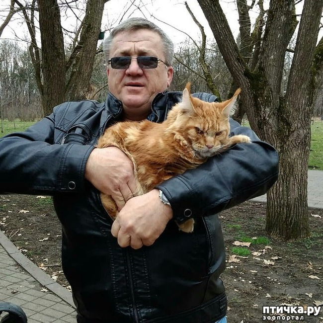 ���� 19: ����� ��� �������