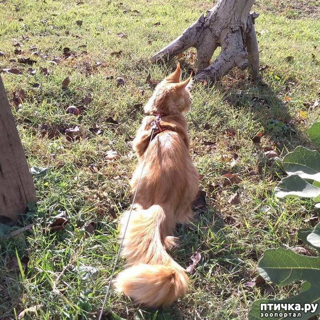 ���� 15: ����� ��� �������