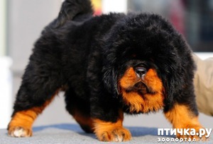 ����: ����� ������ ������ �����.