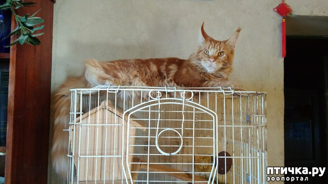 ���� 6: ����� ��� �������