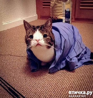 ����: 20 ����� ��������� ����� � ����: ����.