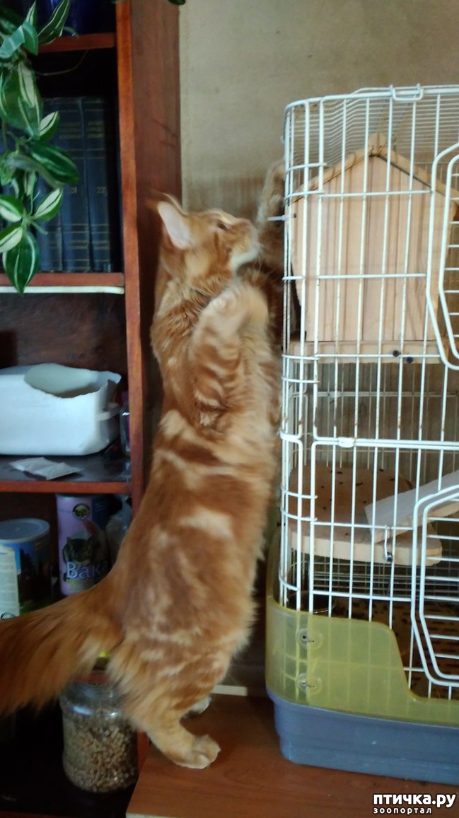 ���� 5: ����� ��� �������