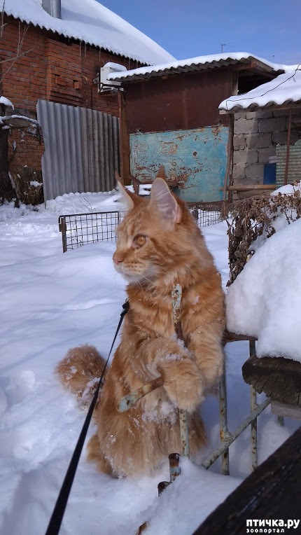 ���� 22: ����� ��� �������