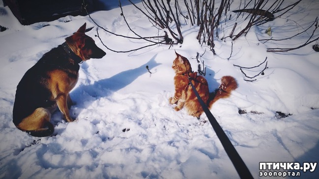 ���� 23: ����� ��� �������