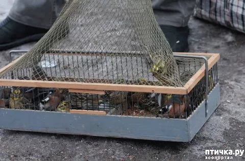 ���� 2: ������ � ������������ ������� �����.