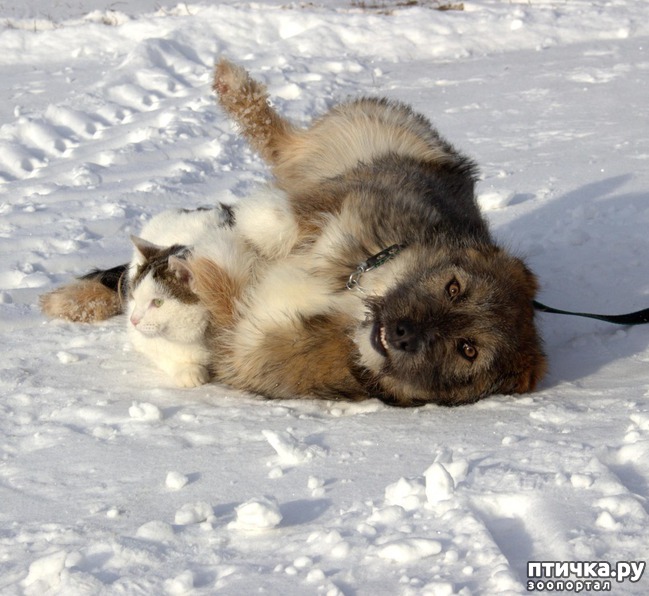 ���� 3: ������ ������������.