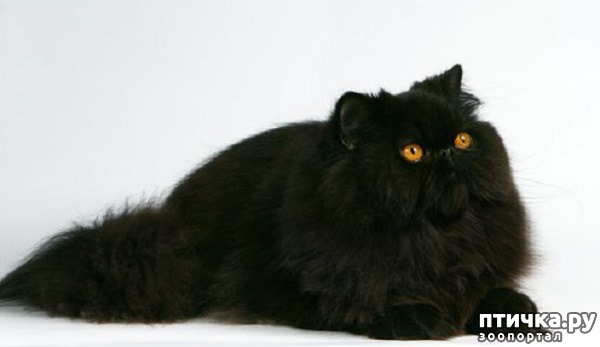 ���� 3: ������ ������ �����