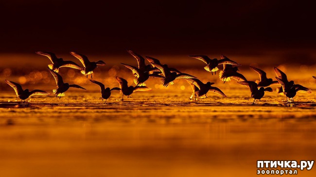 ���� 1: ��������������� ���������� � ��������