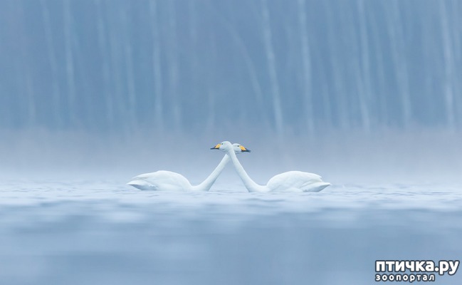 ���� 4: ��������������� ���������� � ��������