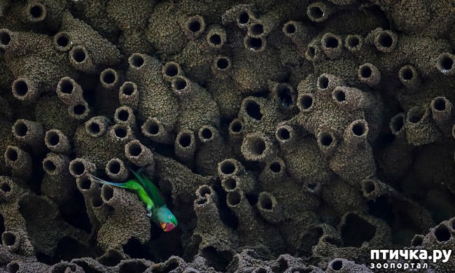 ���� 6: ��������������� ���������� � ��������