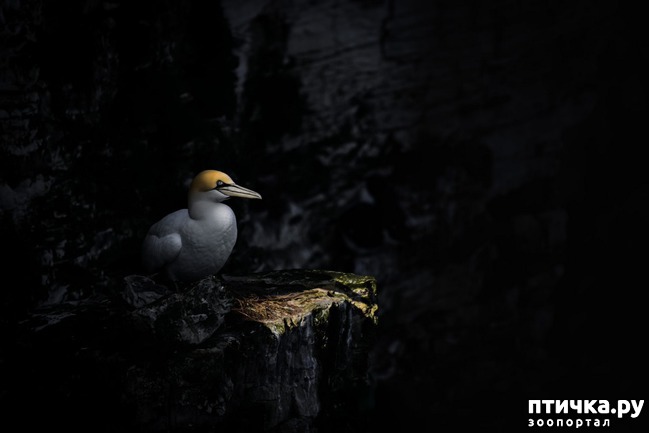 ���� 9: ��������������� ���������� � ��������