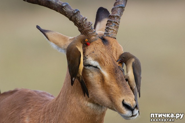 ���� 10: ��������������� ���������� � ��������