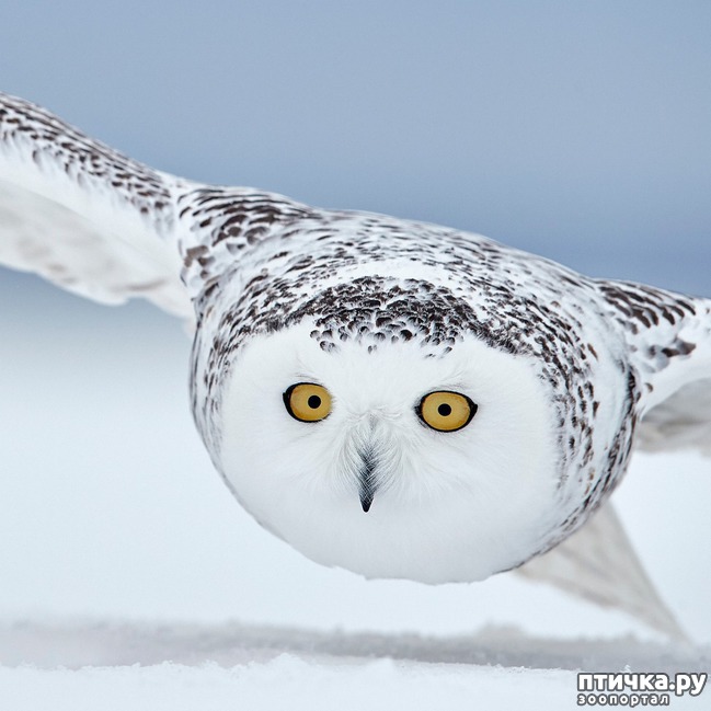 ���� 14: ��������������� ���������� � ��������