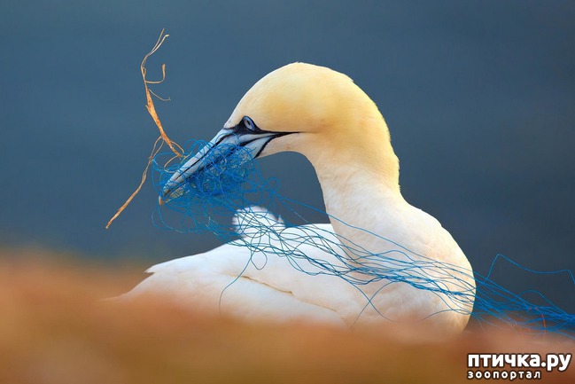 ���� 16: ��������������� ���������� � ��������