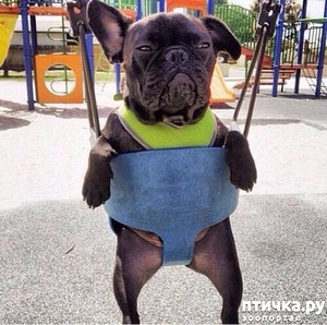 ����: ������� ����� �� ������ � ���