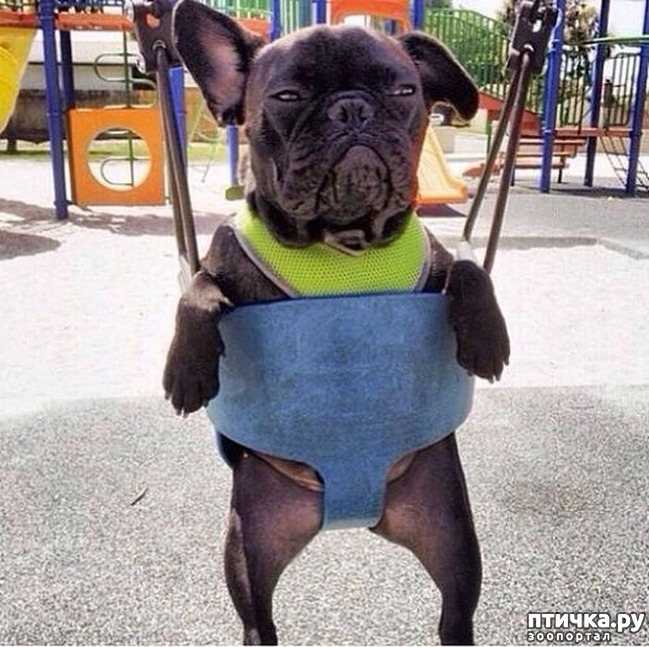 ���� 1: ������� ����� �� ������ � ���