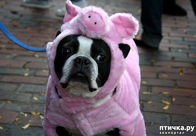 ���� 2: ������� ����� �� ������ � ���