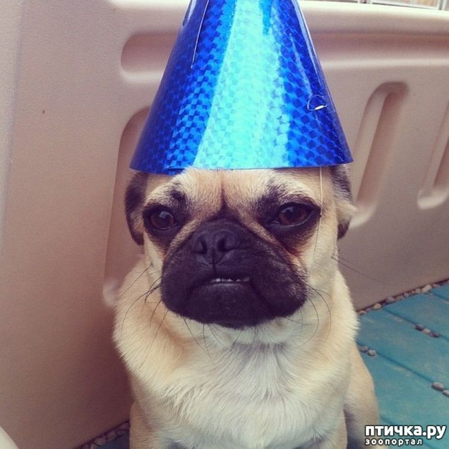 ���� 3: ������� ����� �� ������ � ���