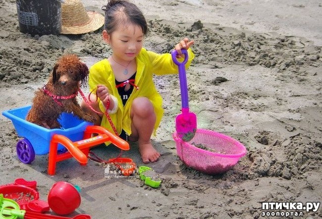 ���� 5: ������� ����� �� ������ � ���