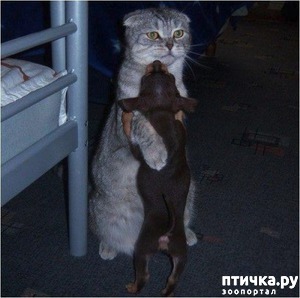 ����: ����� � ������