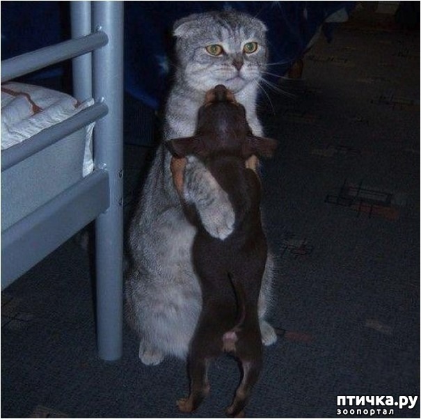 ���� 1: ����� � ������