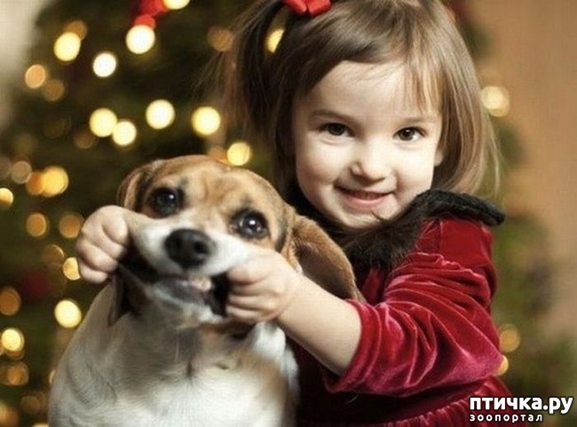 ���� 7: ������� ����� �� ������ � ���