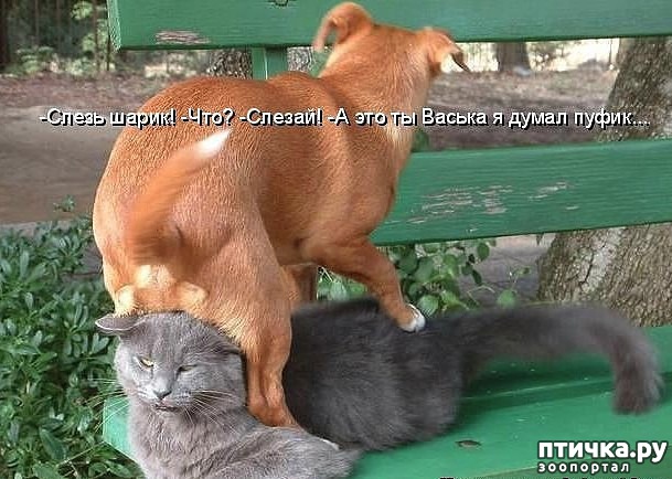 ���� 3: ����� � ������