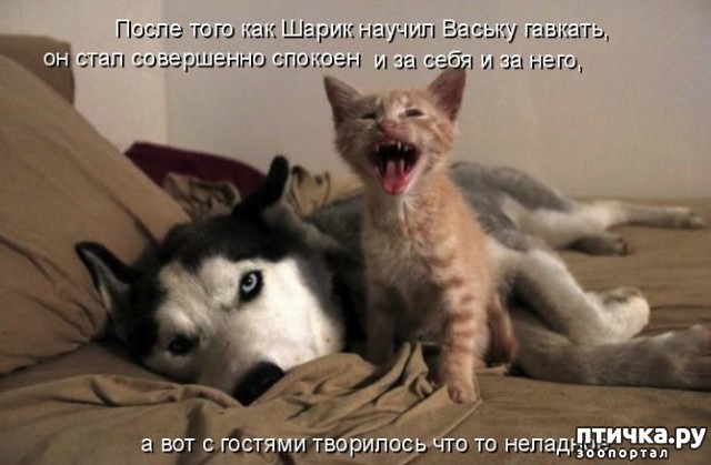 ���� 4: ����� � ������