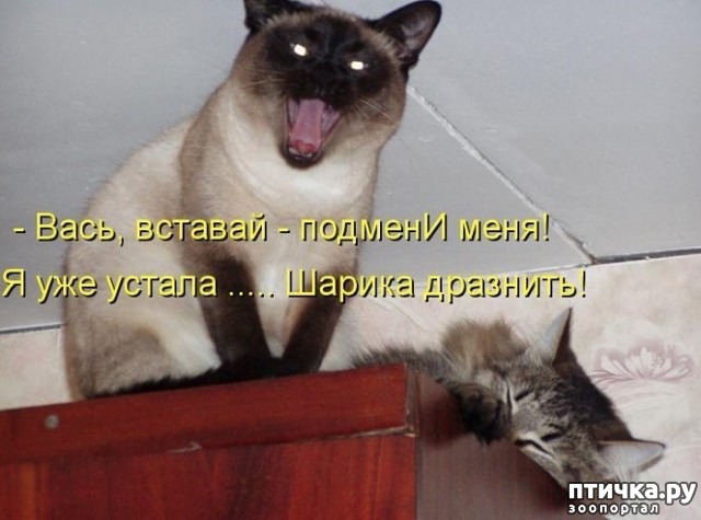 ���� 6: ����� � ������