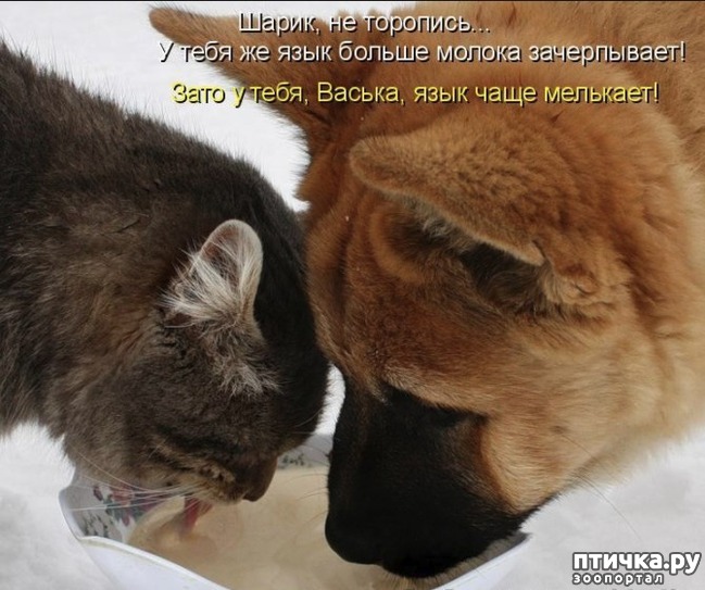 ���� 8: ����� � ������