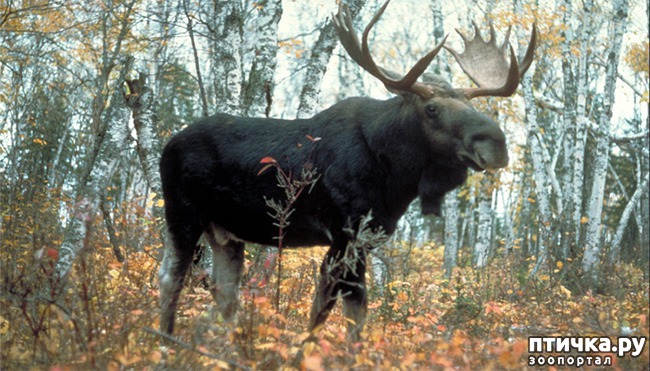 ���� 1: ����. ������� �����