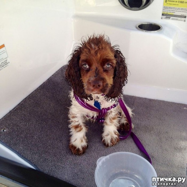 ���� 8: ������� ����� �� ������ � ���