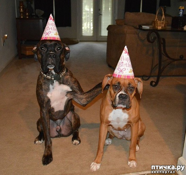 ���� 10: ������� ����� �� ������ � ���