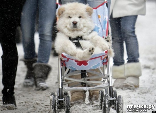 ���� 11: ������� ����� �� ������ � ���