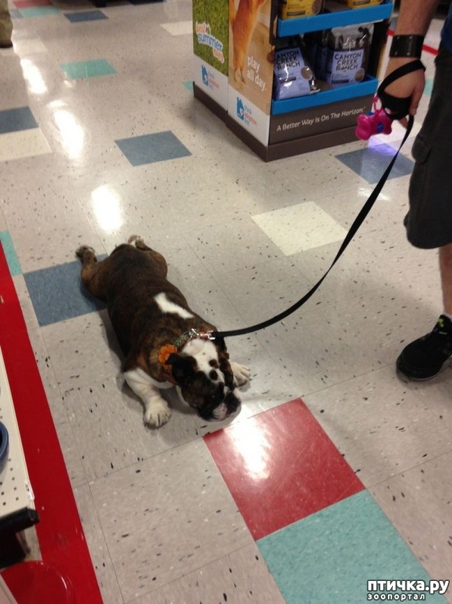 ���� 12: ������� ����� �� ������ � ���