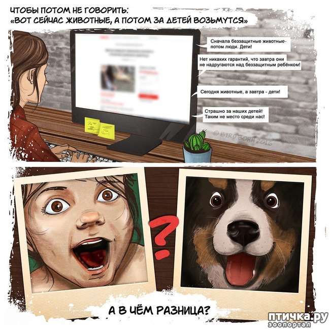 ���� 5: � ������� ����� �������