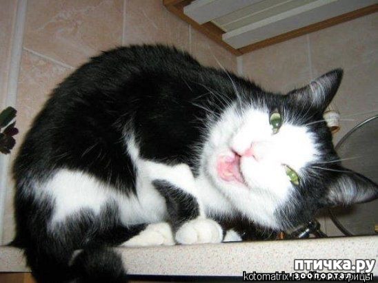 ���� 3: ��������� �����������: ������� �����.