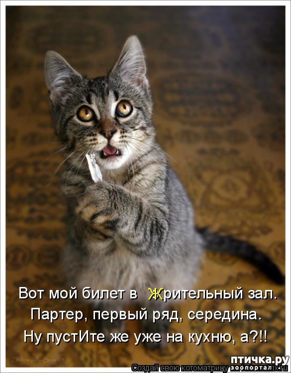 ���� 6: ��������� �����������: ������� �����.