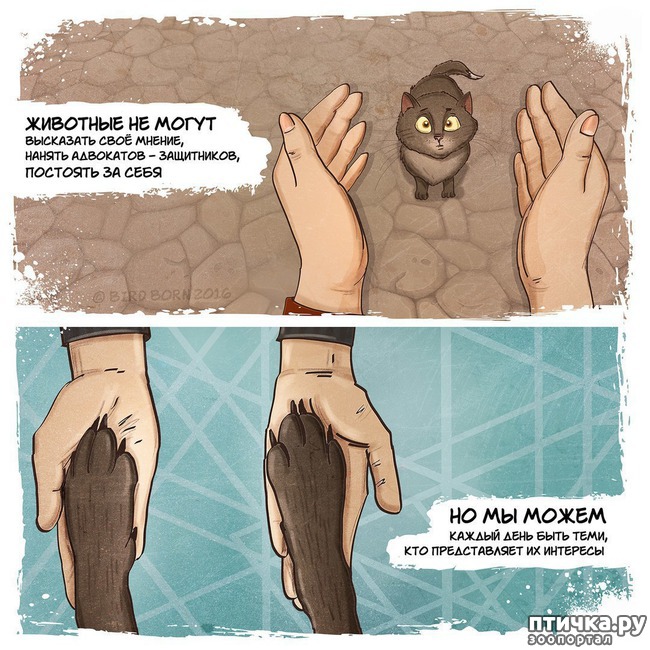 ���� 9: � ������� ����� �������