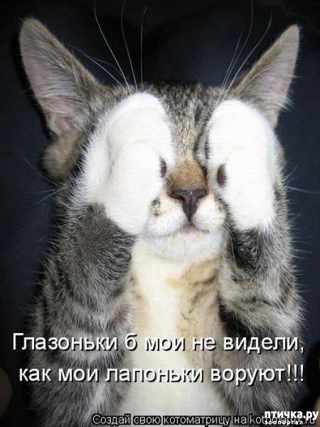 ���� 12: ��������� �����������: ������� �����.