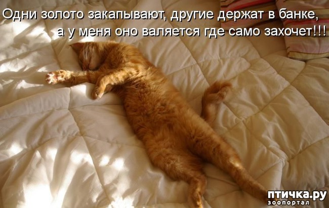 ���� 13: ��������� �����������: ������� �����.