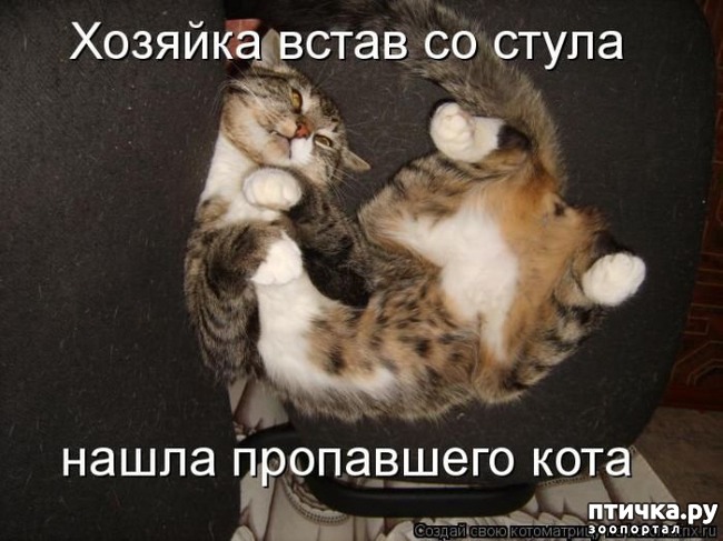 ���� 14: ��������� �����������: ������� �����.