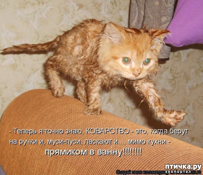 ���� 16: ��������� �����������: ������� �����.